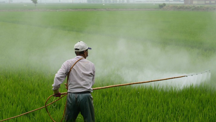 Monsanto